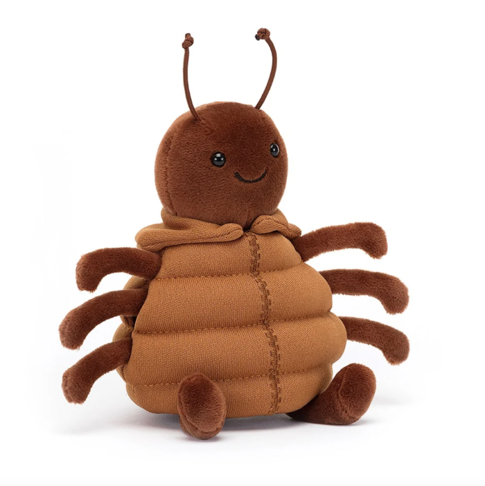 Anoraknid Brown Spider