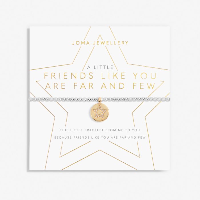 A Little 'Friends Like You Are Far And Few' Bracelet