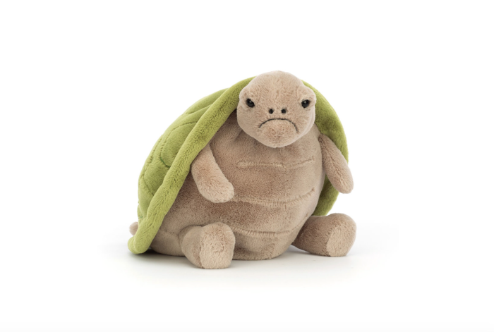 Timmy Turtle
