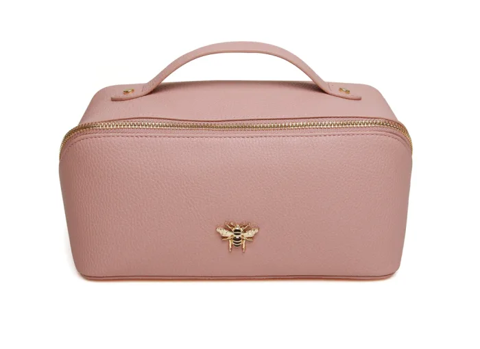 Mini Pink Train Case