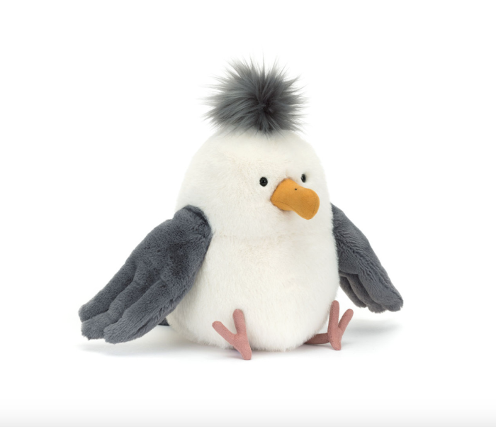 Chip Seagull