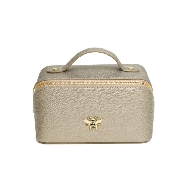 Bronze - Mini Train Case
